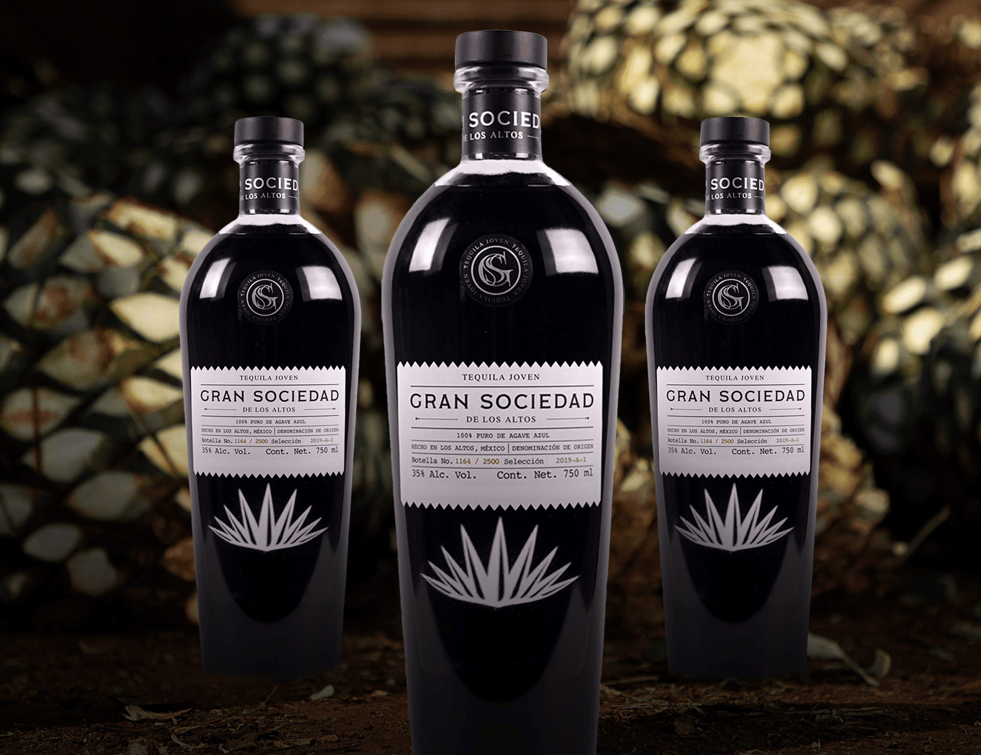 Tres botellas de Tequila Gran Sociedad sobre piñas de agave